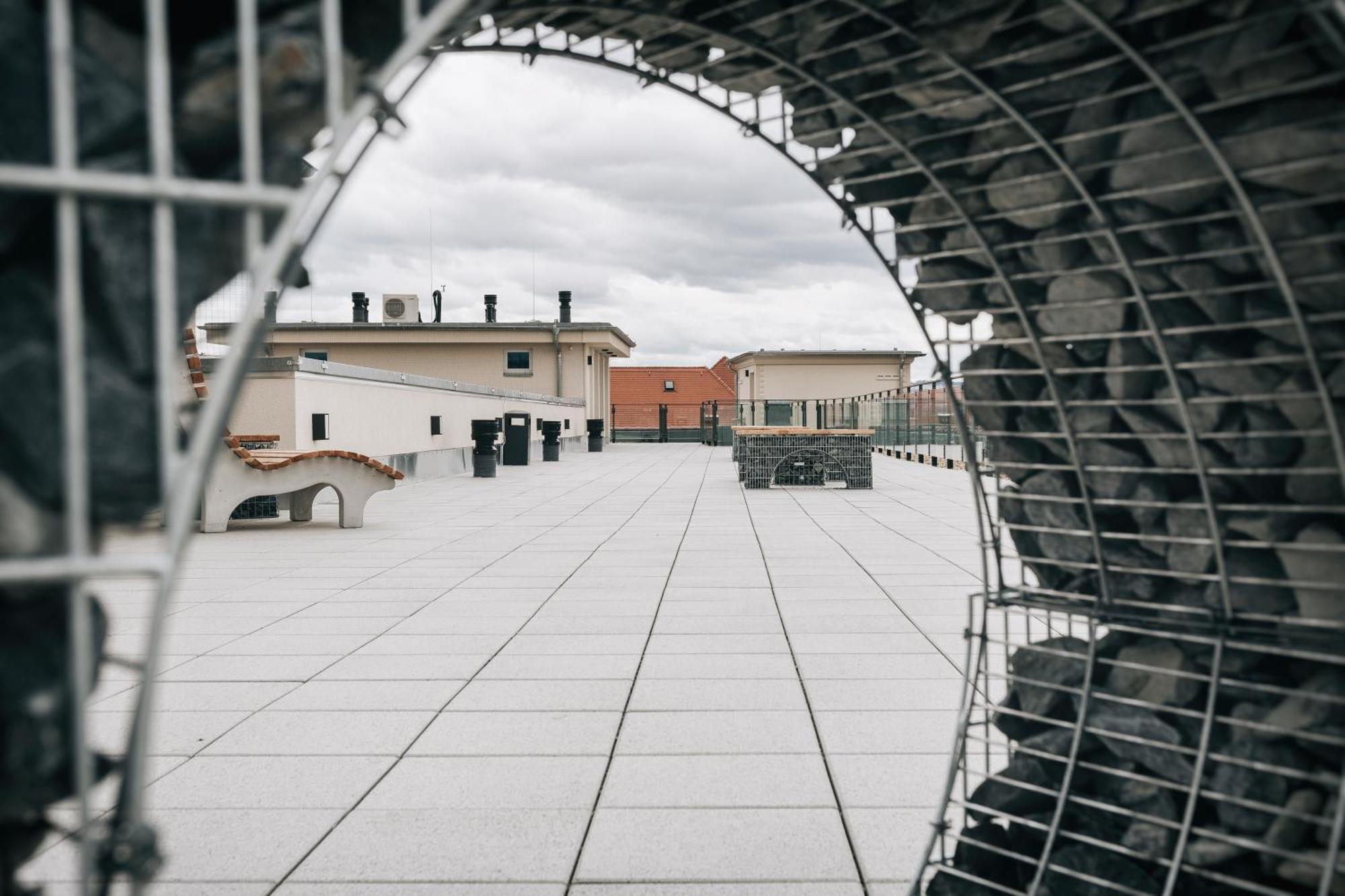 Oasis Appart - Wohnen In Dresden - Netflix - Tiefgarage - Dachterrasse Esterno foto