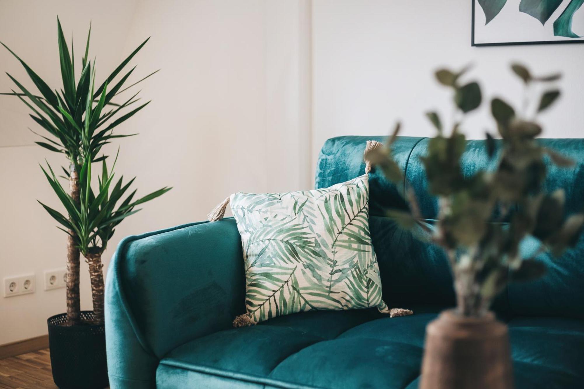 Oasis Appart - Wohnen In Dresden - Netflix - Tiefgarage - Dachterrasse Esterno foto